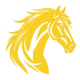 Golden Stallion Agency logo - Leading website design agency in South Africa.
